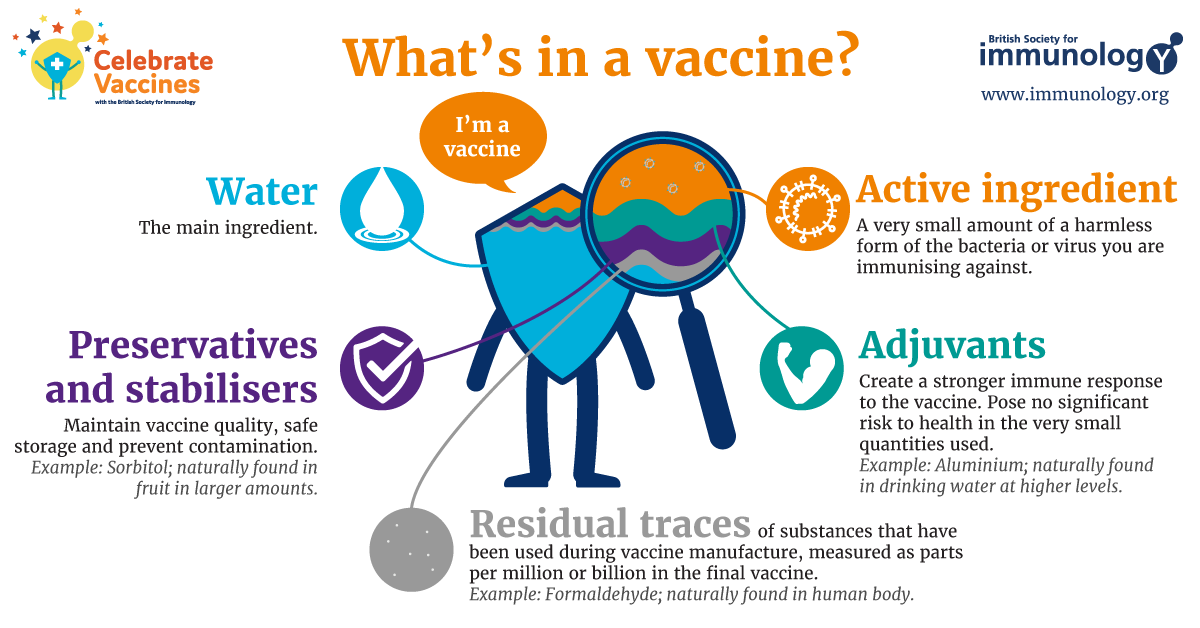 what-s-in-a-vaccine-british-society-for-immunology